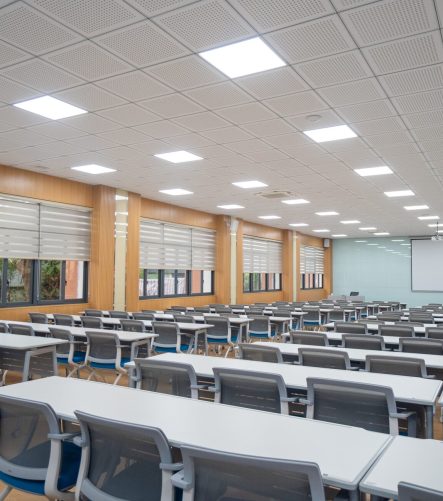 Giảng đường nhà A1 Trường Đại học Khoa học Xã hội và Nhân văn TP.HCM do Scala thi công nội thất (ảnh 2)